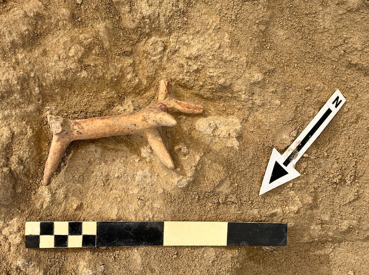 Extremely rich Bronze Age tombs have been discovered in Cyprus